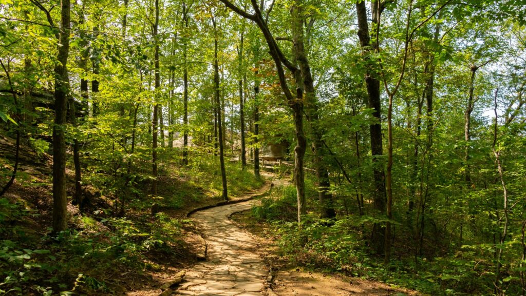 Gold Bar Nature Trails