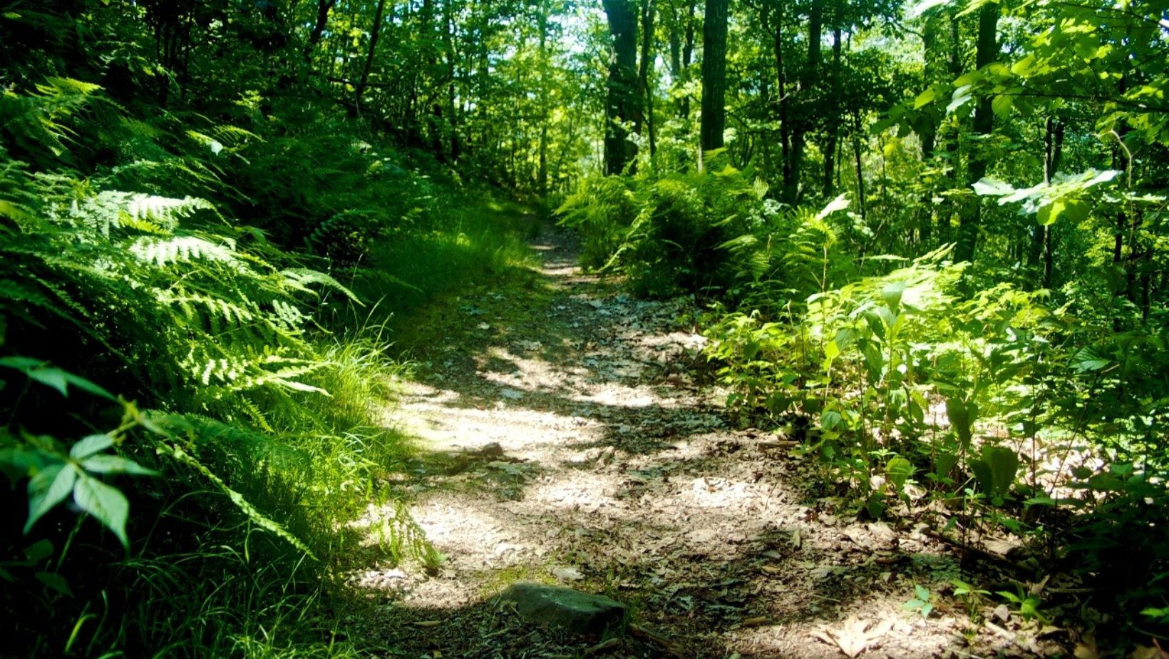 Portugal Nature Trails