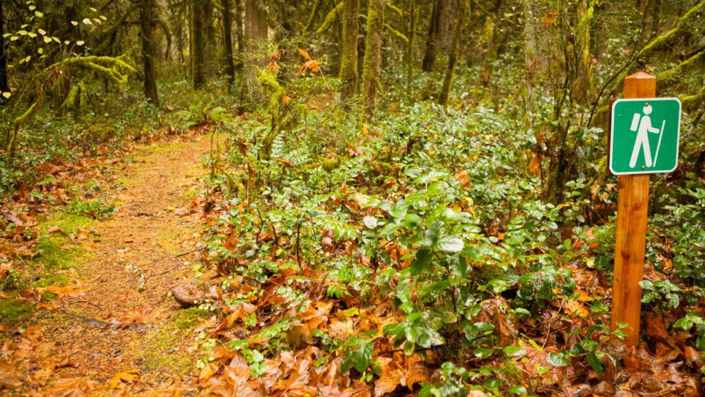 Hiking Trails Vancouver