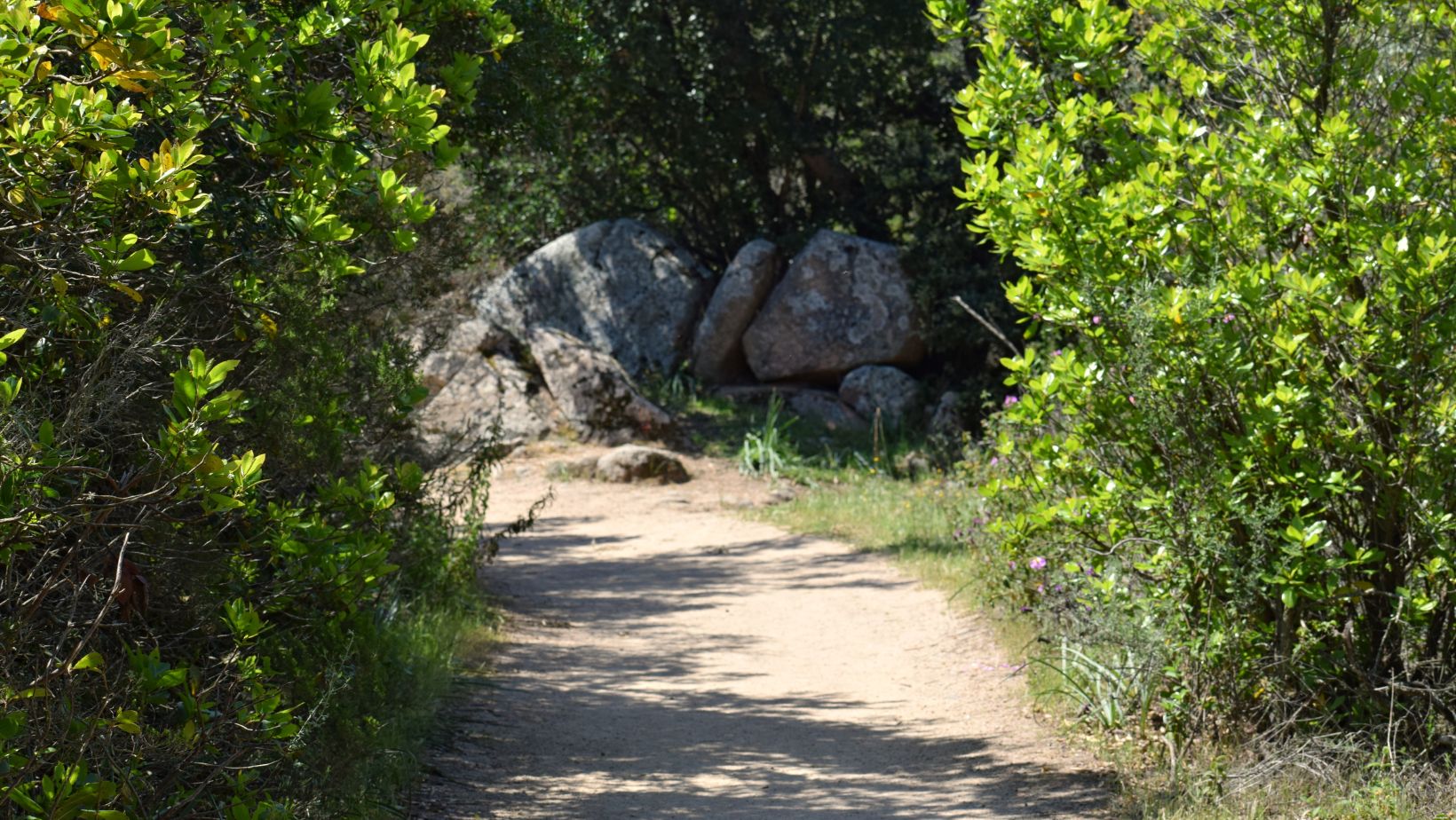 Hiking Trails Utah