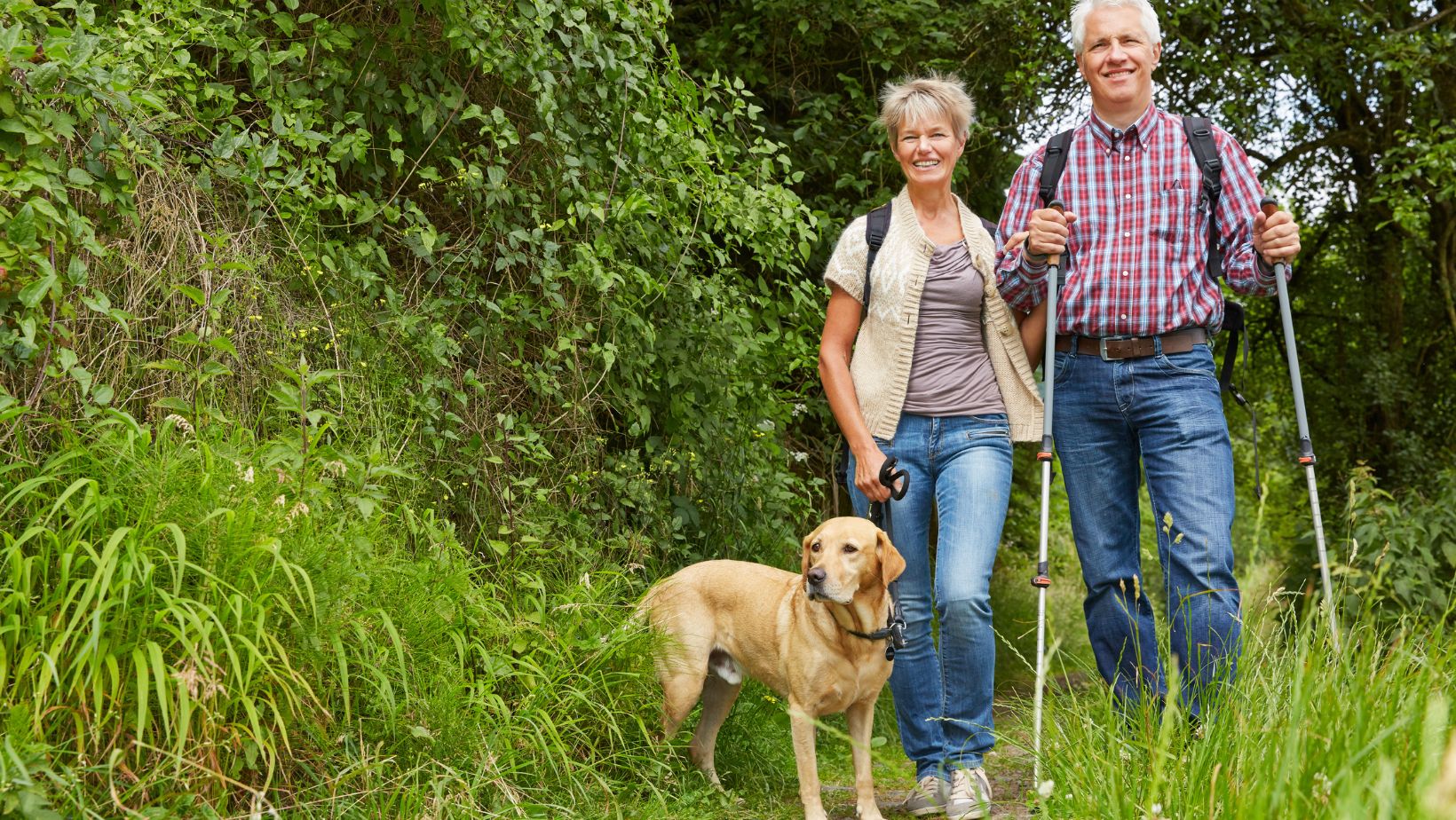 Dog Friendly Nature Trails Near Me